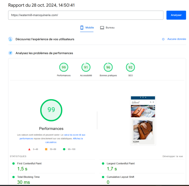 Résultat PageSpeedInsight de Google pour le site watermill-maroquinerie.com